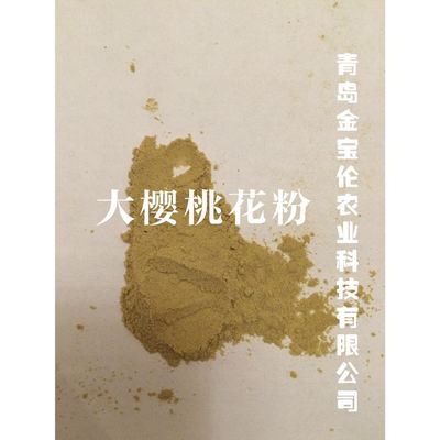 樱桃花粉