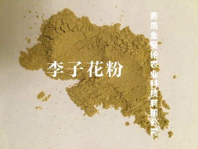李子花粉