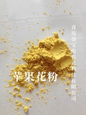 苹果花粉